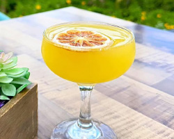 National Daiquiri Day